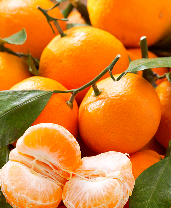Fresh Tangerines - Shop Citrus at H-E-B